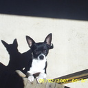 stacy michelle - @MzUnitedNations - Twitter