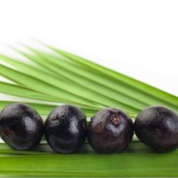 MVHealthyEnergy's profile picture. Monavie Health Energy is a distributor of a product with results in healthy energy, immune support, weight management, as well as an opportunity for success.