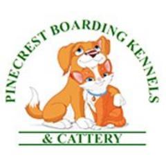 pinecrestkennel's profile picture. 