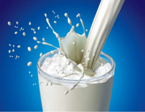 Eat_Pray_Milk's profile picture. How do lactose intolerant people fall in milk?