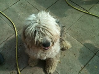 pretorgmo's profile picture. Abogado