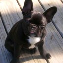 Jonathan Gooding - @mtdewmustang - Twitter