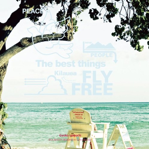 saya765's profile picture. 慶応経済/おいん03/ふしょう/iir/UofU/AYU/ﾛﾝﾄﾞﾝ/ﾁｰｽﾞ/