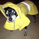 beth yost salsgiver - @bsalsgiv - Twitter