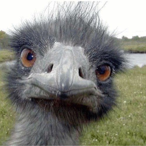 12-12-12 is the day i made this account! So it will be growing so follow! For funny pictures and statuses.(IF I FOLLOWED YOU,IT MEANS YOU NEED TO FOLLOW BACK)