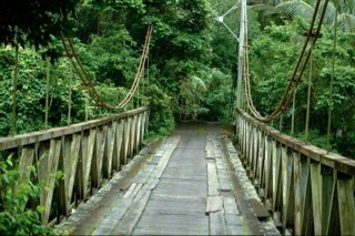 LuzDeras's profile picture. 