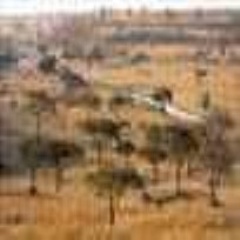 hlinsvicki's profile picture. Hi! My name is Brittany, Age 21. As u can see I ♥ @WadeBarrett I also lke The Miz & Randy and s much more :)