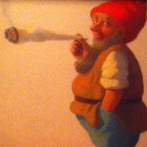 stonedzone's profile picture. Unconventional therapy. #judgeus