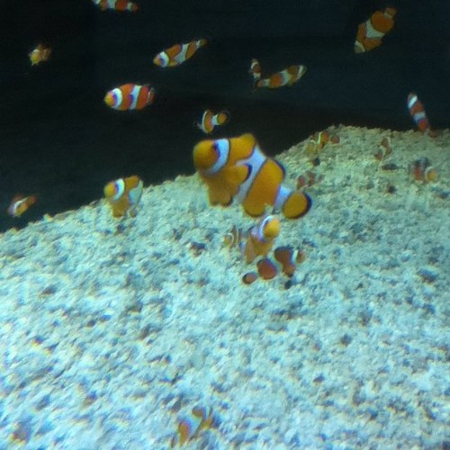 FunnyTalkies's profile picture. 