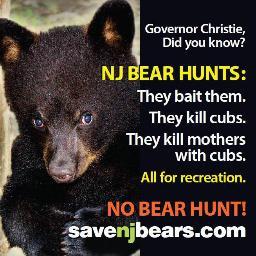 SaveOurNJBears's profile picture. Follow @SaveNJBears Support S 2369 #Bear Smart Bill: http://t.co/WXlZQB2677 Help Us Protect #NJ Black #Bears || #saveNJbears
