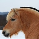 Alaric Brown - @The_Spirithorse - Twitter