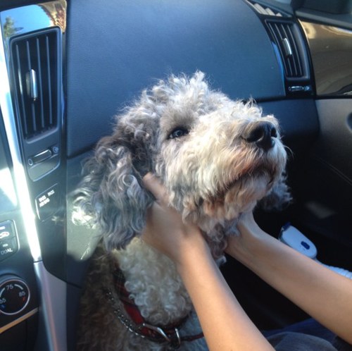 LeBruf's profile picture. 