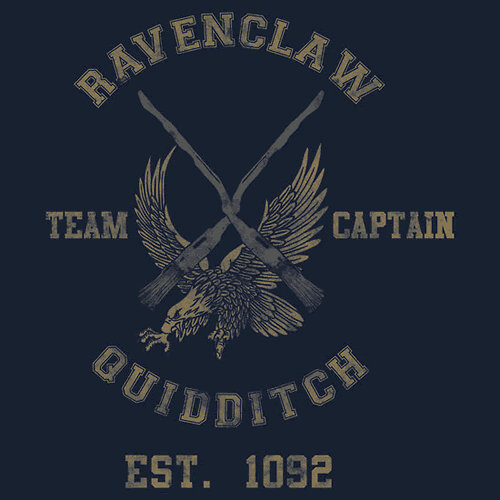 Ravenclaw, make them sore! Official Quidditch Captain: @ImRogerDavies