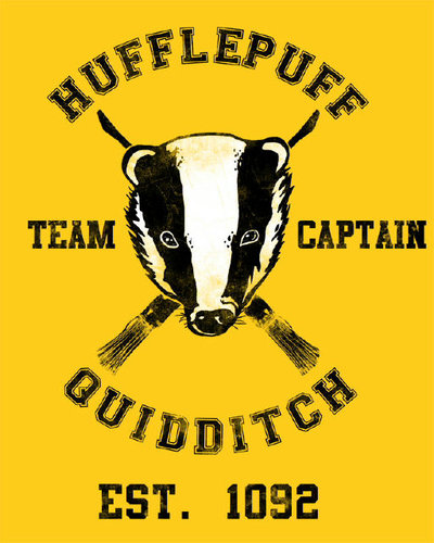 The Hufflepuff Quidditch team for Hogwarts school.