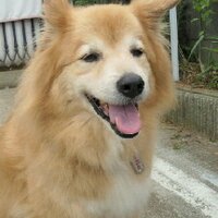 ヽ( ´ー‘)ノ⌒marutake (@marutake2) 's Twitter Profile