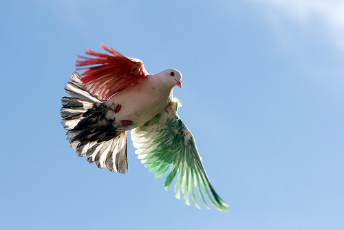 kuwaitawy84's profile picture. ‏وطني الكويت سلمت للمجد