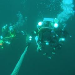 CanterburyBSAC3's profile picture. Canterbury BSAC is a  friendly Scuba diving club welcoming all divers and would be divers in Kent.  We organise training, trips and regular Channel diving.