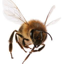 LegioTerra's profile picture. Natuurgezondheidspraktijk.
Ontdek de kracht van écht eten! Eten, dat lekker en gezond voor je is. Verbeter je gezondheid op een lekkere manier!