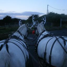 Howth Horse & Carriage Co. offer short leisurely horse and carriage rides at  Howth Summit drawn by our two beautiful prizewinning white horses, Beauty & Bibi.