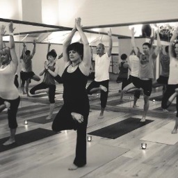 Yoga in Leigh on Sea, near Southend, Essex. Also Pilates, Tai Chi and Holistic treatments.