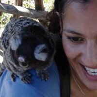 Taryn Schiller (@tarynschiller) 's Twitter Profile