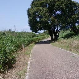 コロナ嫌い