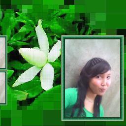 essaimout's profile picture. 