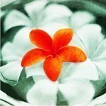 ___bluewing___'s profile picture. 今年３月に日デ中退いたしたました！元G科＆V科(^^;)今のV3と同期でありますっ