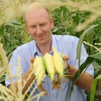 Bruce Napier (@basnapier) 's Twitter Profile