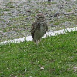 mmartc's profile picture. Apasionada de la educacion. Entusiasta de la tecnología.