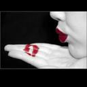 Taylor Wesley  - @TaylorWesley2 - Twitter