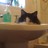 joanna_smith26's profile image
