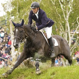 International British Showjumper
