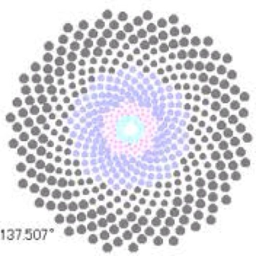 wcl_japan's profile picture. コロナウイルス、coronavirus、covid-19、戦争、地震、太陽フレア、世界のニュース監視。閲覧は翻訳機能を推奨。日本🇯🇵、米国🇺🇸、中国🇨🇳、韓国🇰🇷、フィリピン🇵🇭、ブラジル🇧🇷