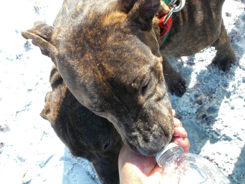 NYer (Handle: HelloNY), who is splitting her time between Boston and NYC -- embracing both worlds & lovin' every minute!  Thanks 4 the warm welcome, Boston!