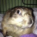 Keith Romer - @KeithRomer - Twitter