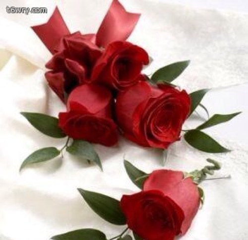 يادرووووب التوافيق إحضني خطوتي، وياتساهيل الكريم كووووني لي نصيب..✨