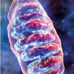 If You Have Glucose We Have Energy ! 
Follow Us...
