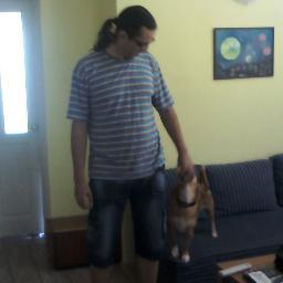 maljcek's profile picture. 