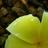 musita_ma's profile image