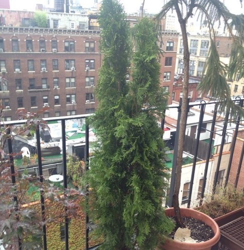 1986dmg's profile picture. 