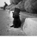 Mitchell Brady - @King_Enlil - Twitter