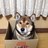 とんとんのアイコン