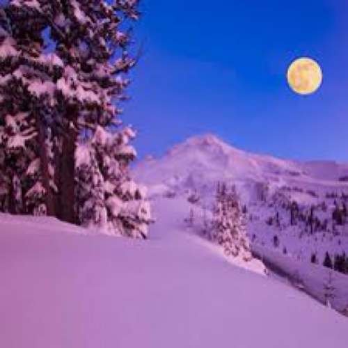 akikov2's profile picture. 主に森の中にいます。Love＆Peace & Smile✌