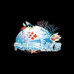 We design custom living reef saltwater aquariums and life support systems.  We import rare live corals, frag them and grow them.  We sell these online.