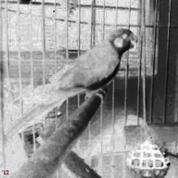 StormSkywalker2's profile picture. 