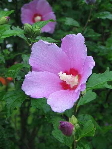 tankrok1's profile picture. 인천에서 하루하루 열심히 살아가는 예쁘고 멋진 두 자녀를 둔 행복한 남자^^;;