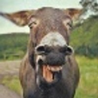 u_a*v* (@curlyaii) 's Twitter Profile