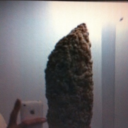 BjBjpool's profile picture. (LFC 4 LIFE)works hard but plays even harder :)