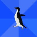 Awkward Penguin! (@sarcasmstweets) Twitter